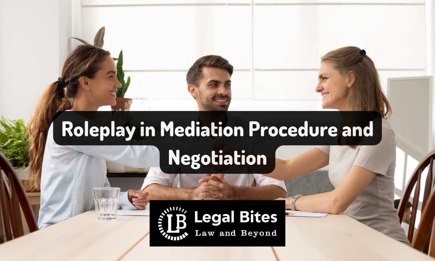 Roleplay In Mediation Procedure And Negotiation 7968