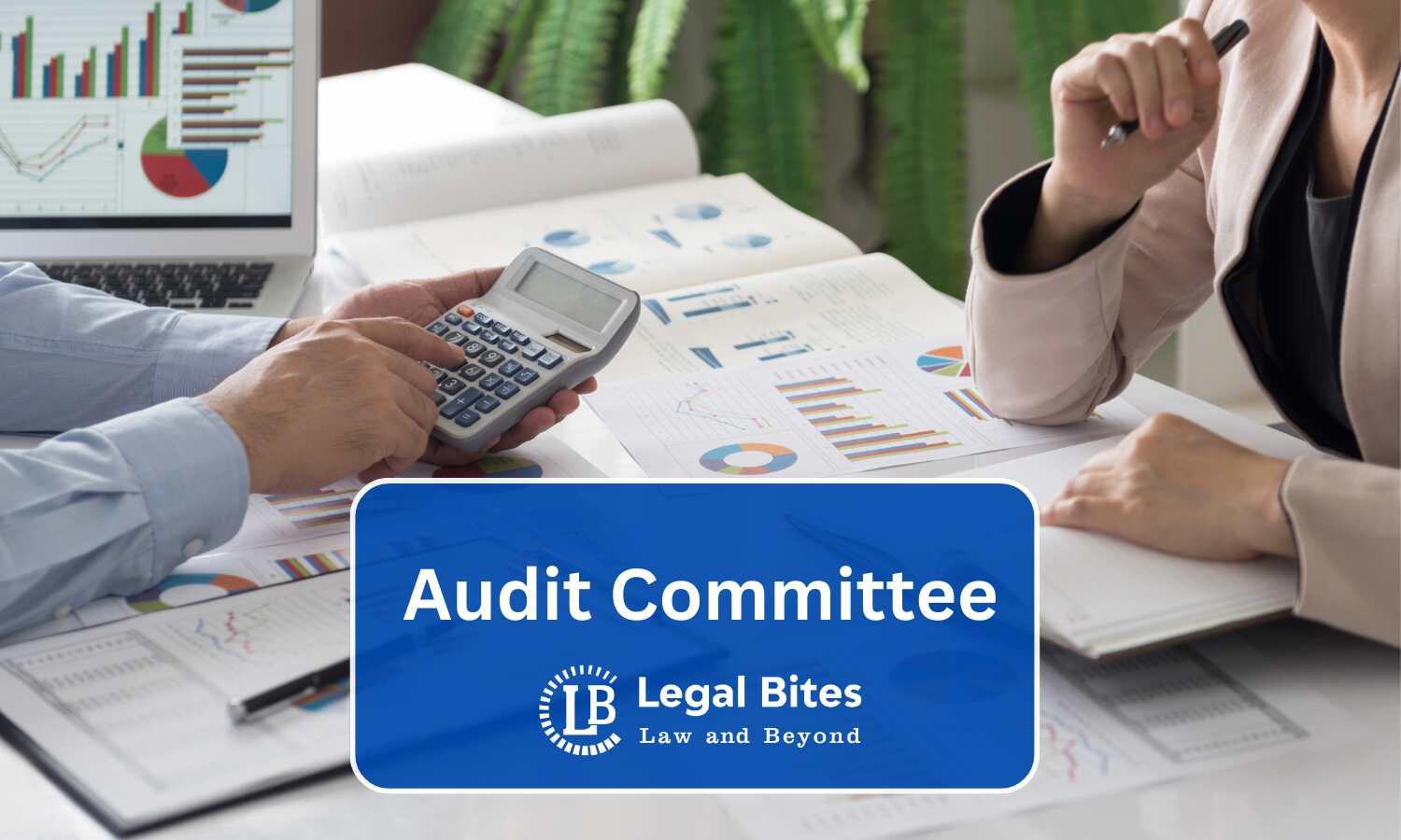 Audit Committee