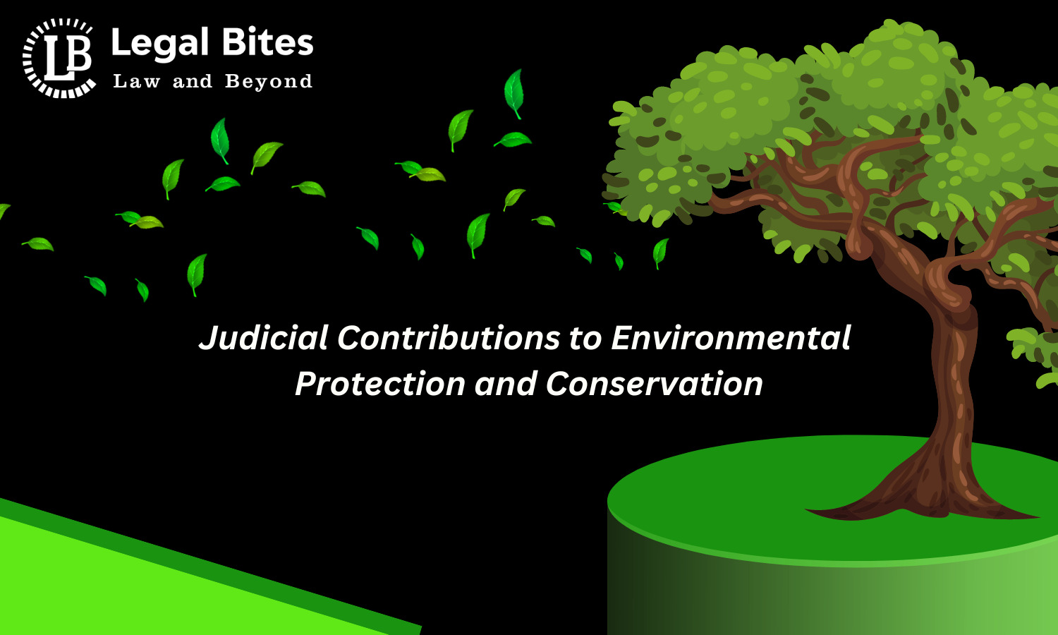 Judicial Contributions To Environmental Protection And Conservation