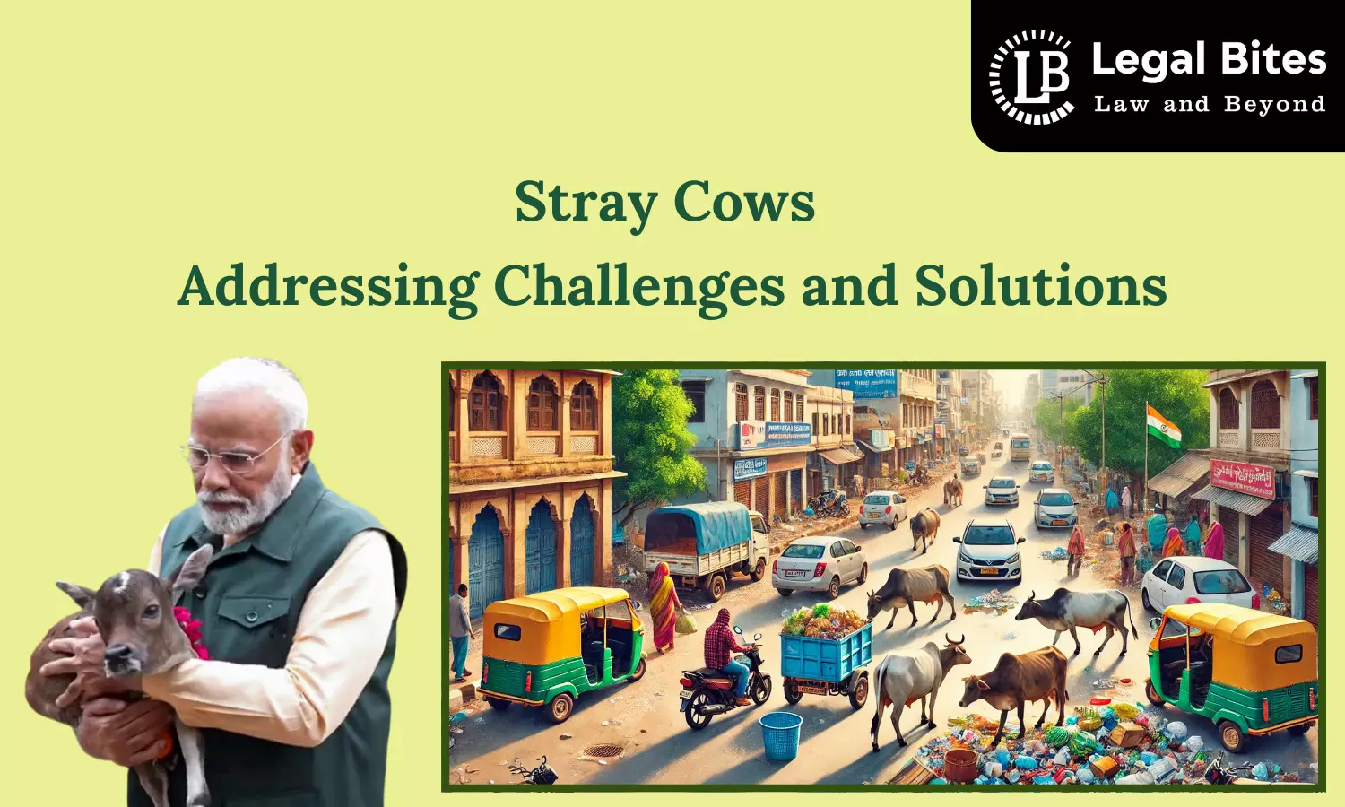 Stray Cows: Addressing Challenges and Solutions