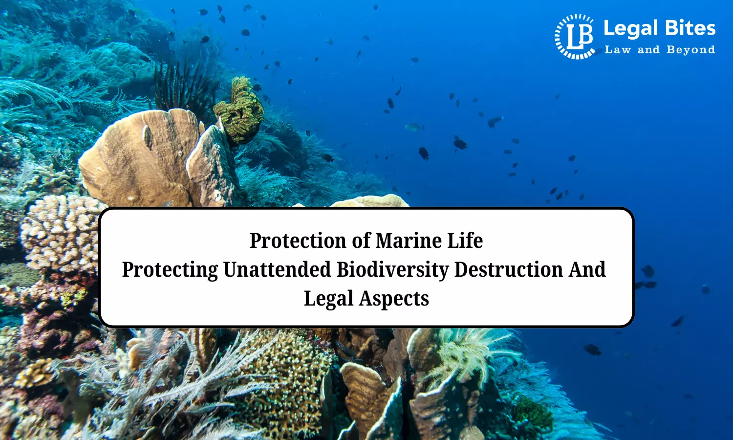 Protection of Marine Life: Protecting Unattended Biodiversity Destruction And Legal Aspects